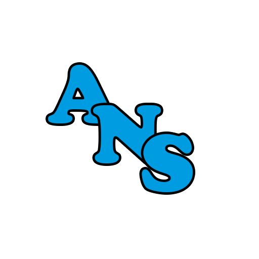 albertonunezsabaris.com